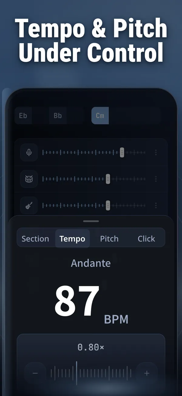 Vocal Remover screenshot