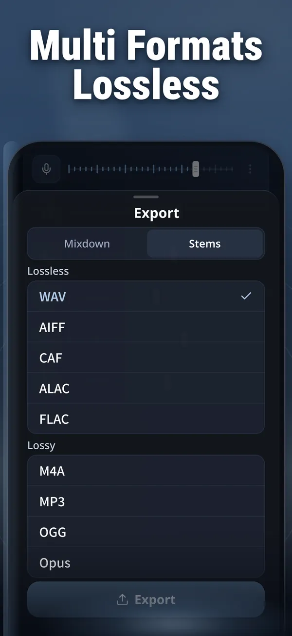 Vocal Remover screenshot