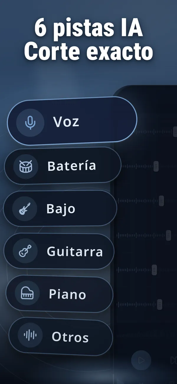 Captura de pantalla de Vocal Remover