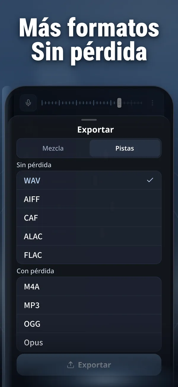 Captura de pantalla de Vocal Remover