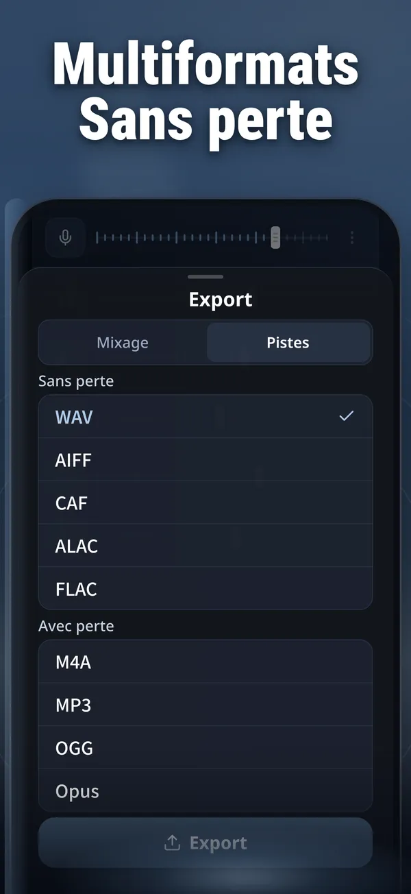 capture d’écran de Vocal Remover