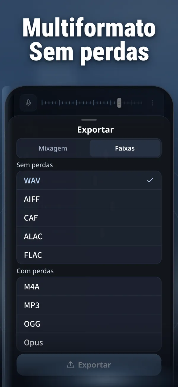 Captura de tela do Vocal Remover