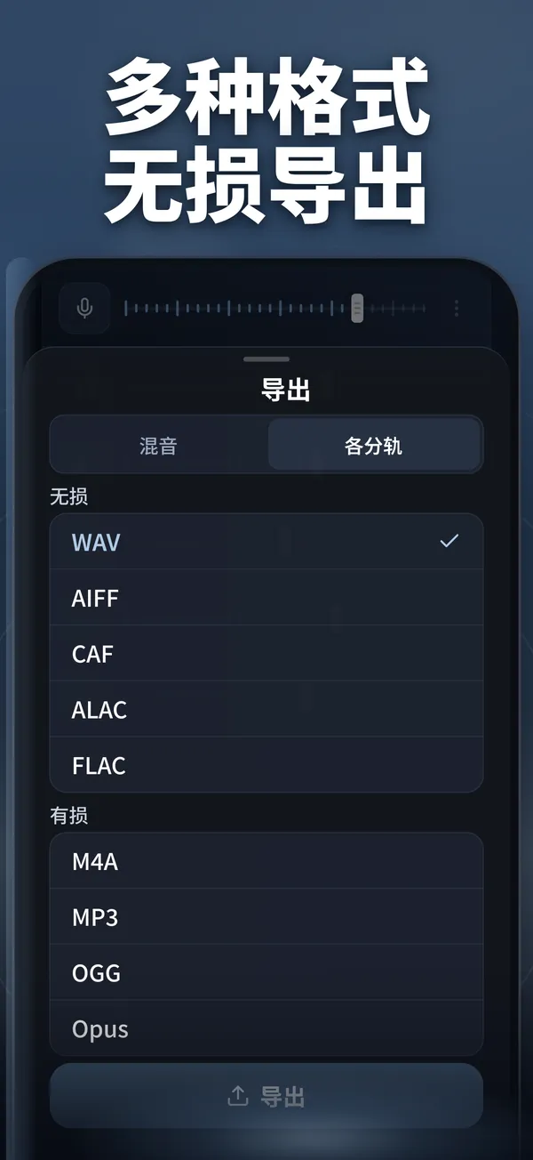 Vocal Remover 应用截图